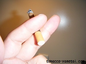 ԃVKbg